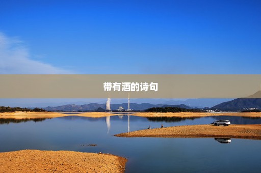 带有酒的诗句
