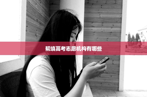 帮填高考志愿机构有哪些