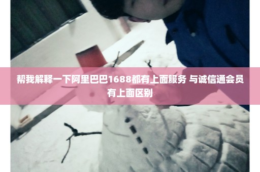 帮我解释一下阿里巴巴1688都有上面服务 与诚信通会员有上面区别