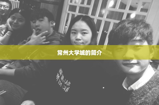 常州大学城的简介