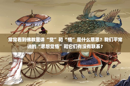 常常看到佛教里讲“觉”和“悟”是什么意思？我们平常说的“思想觉悟”和它们有没有联系？