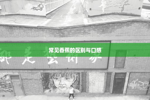 常见香蕉的区别与口感