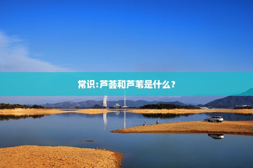 常识:芦荟和芦苇是什么？