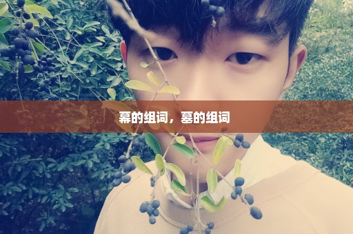 幕的组词，墓的组词 