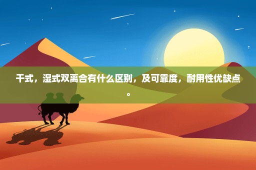 干式，湿式双离合有什么区别，及可靠度，耐用性优缺点。