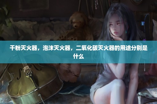 干粉灭火器，泡沫灭火器，二氧化碳灭火器的用途分别是什么