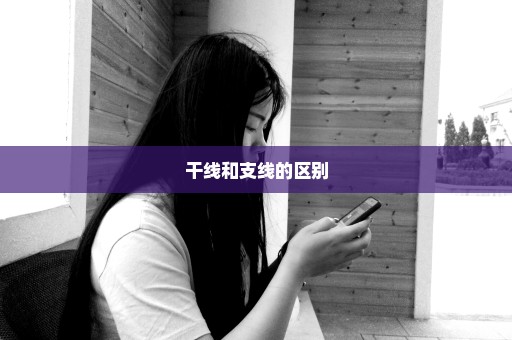 干线和支线的区别