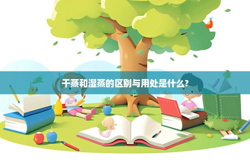 干蒸和湿蒸的区别与用处是什么?