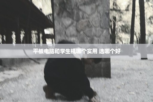 平板电脑和学生机哪个实用 选哪个好