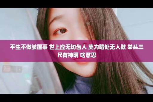 平生不做皱眉事 世上应无切齿人 莫为暗处无人欺 举头三尺有神明 啥意思