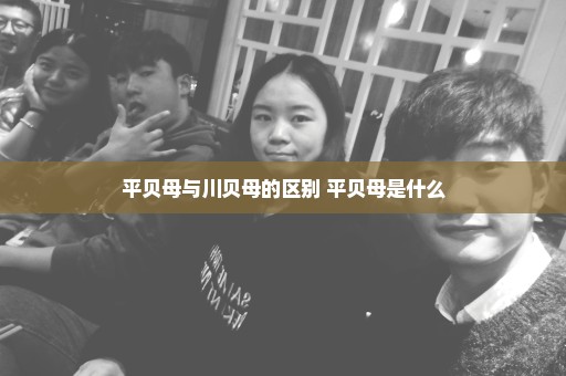 平贝母与川贝母的区别 平贝母是什么