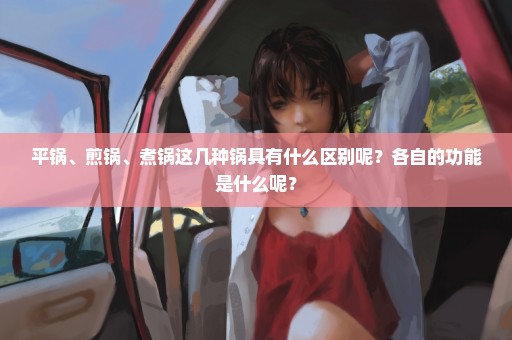 平锅、煎锅、煮锅这几种锅具有什么区别呢？各自的功能是什么呢？