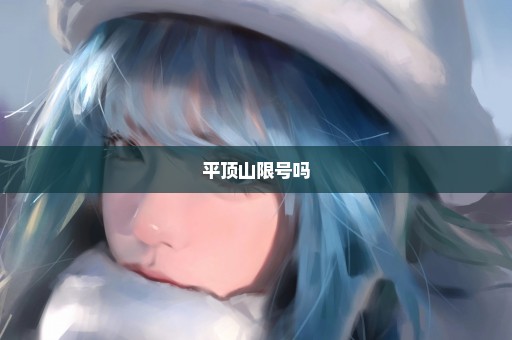 平顶山限号吗