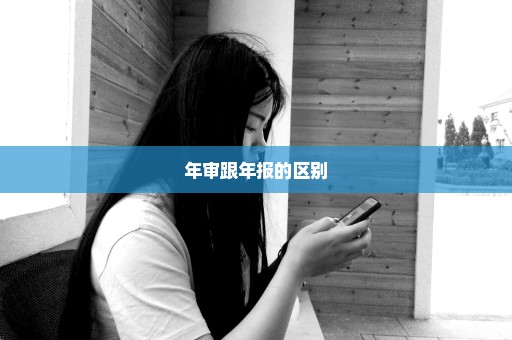 年审跟年报的区别