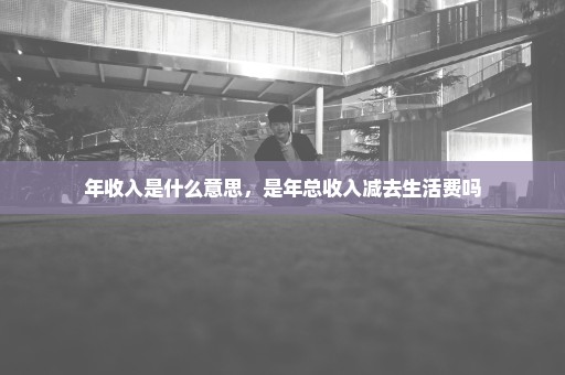 年收入是什么意思，是年总收入减去生活费吗