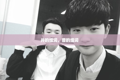 并的组词，普的组词 