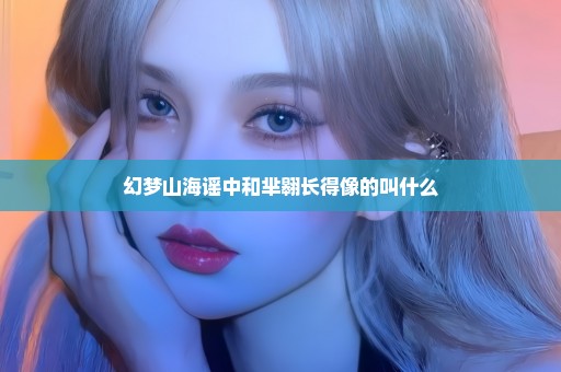幻梦山海谣中和芈翱长得像的叫什么