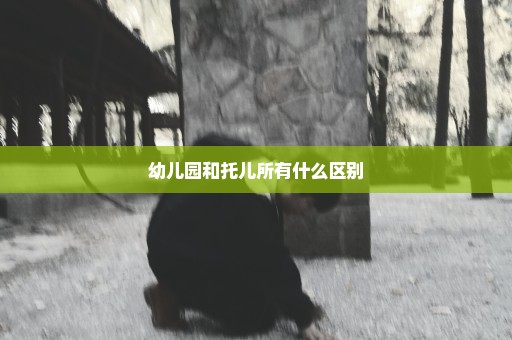 幼儿园和托儿所有什么区别