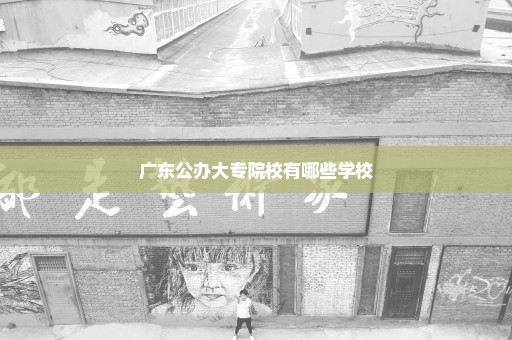广东公办大专院校有哪些学校
