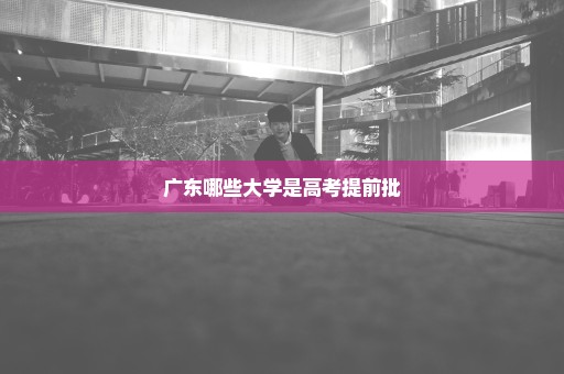 广东哪些大学是高考提前批