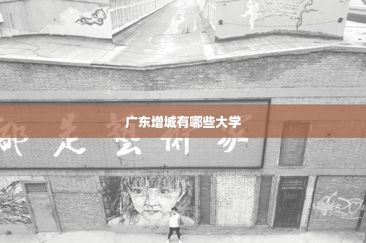 广东增城有哪些大学
