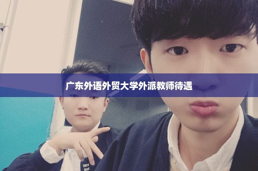 广东外语外贸大学外派教师待遇