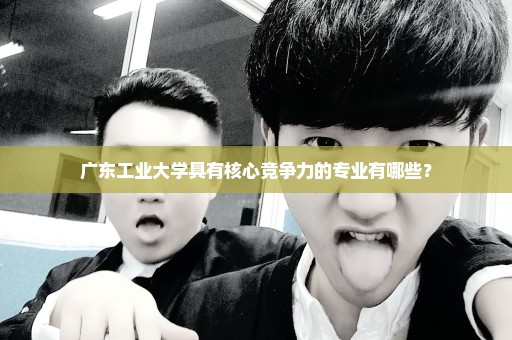 广东工业大学具有核心竞争力的专业有哪些？