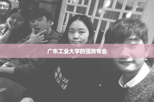 广东工业大学的强势专业