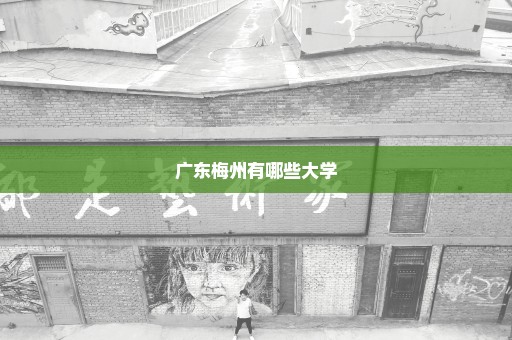 广东梅州有哪些大学