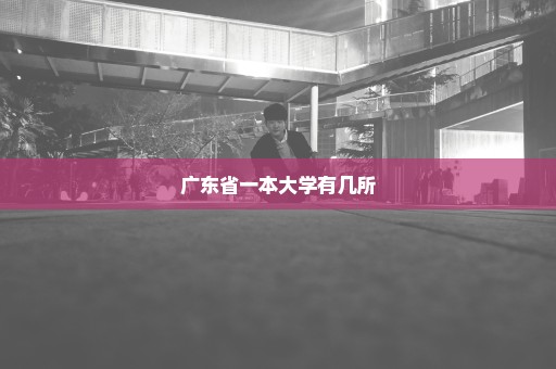 广东省一本大学有几所