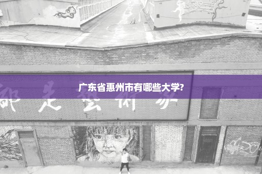 广东省惠州市有哪些大学?