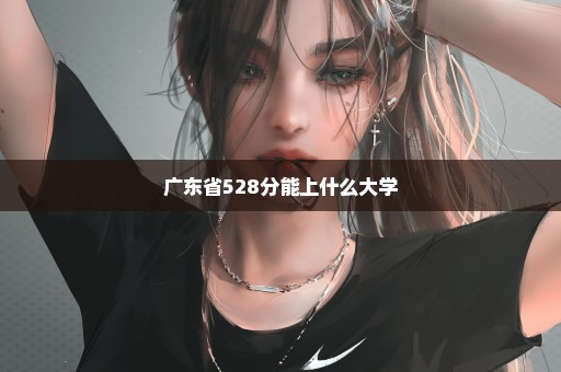 广东省528分能上什么大学