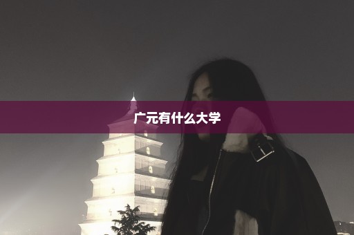 广元有什么大学