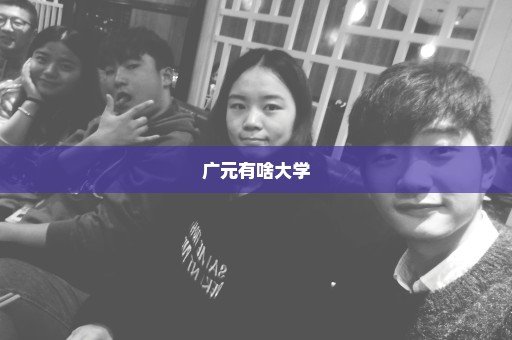 广元有啥大学