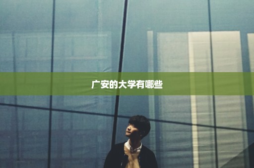 广安的大学有哪些