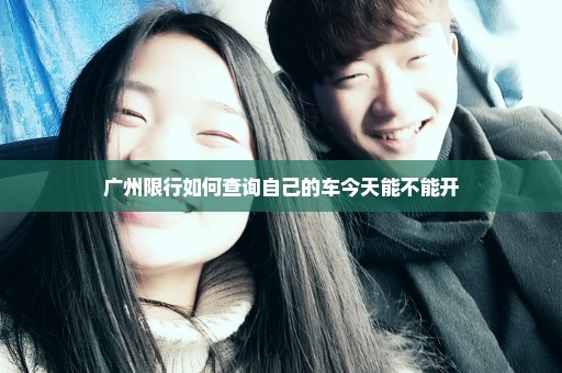广州限行如何查询自己的车今天能不能开