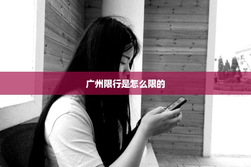 广州限行是怎么限的