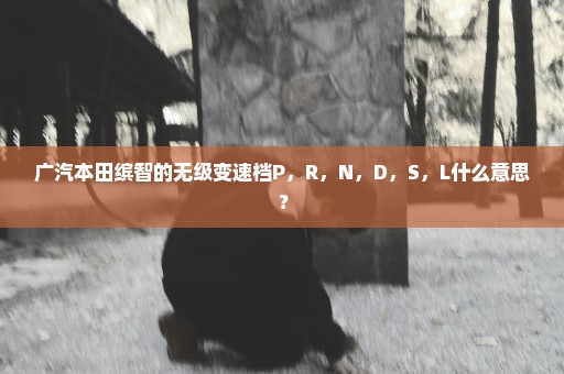 广汽本田缤智的无级变速档P，R，N，D，S，L什么意思？