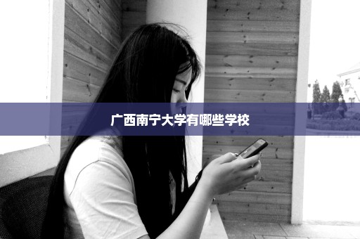 广西南宁大学有哪些学校