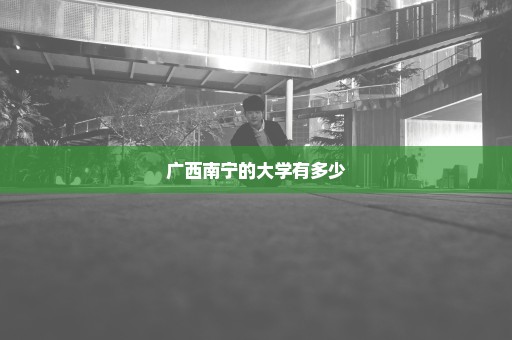 广西南宁的大学有多少