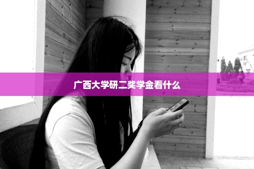 广西大学研二奖学金看什么