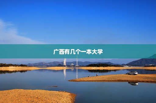 广西有几个一本大学
