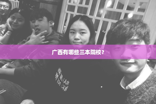 广西有哪些三本院校？