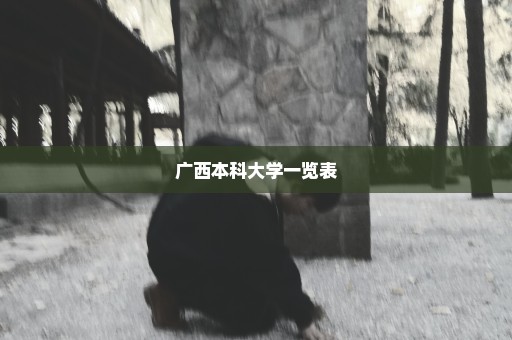 广西本科大学一览表