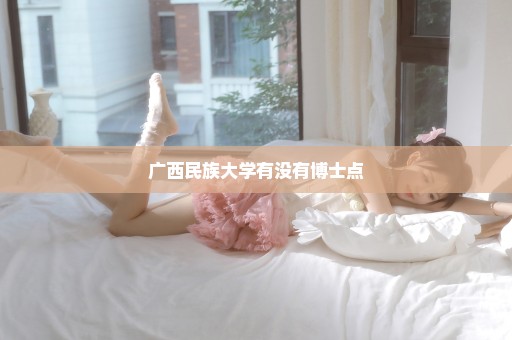 广西民族大学有没有博士点