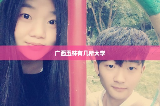 广西玉林有几所大学