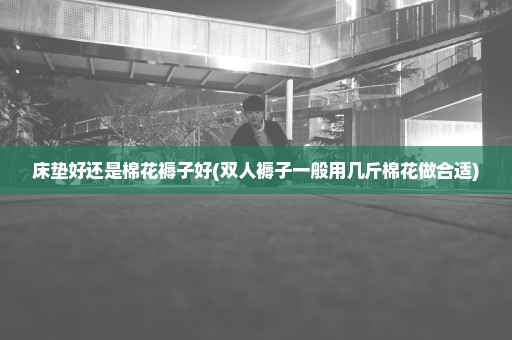 床垫好还是棉花褥子好(双人褥子一般用几斤棉花做合适)