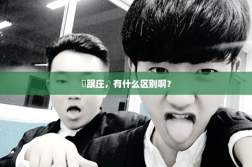 庒跟庄，有什么区别啊？