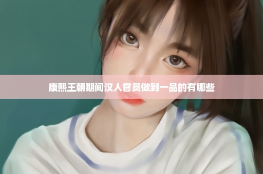 康熙王朝期间汉人官员做到一品的有哪些