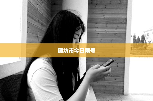 廊坊市今日限号